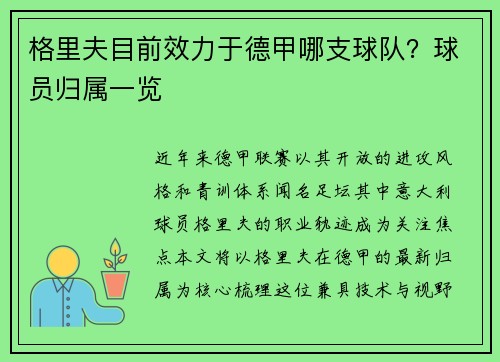 格里夫目前效力于德甲哪支球队？球员归属一览